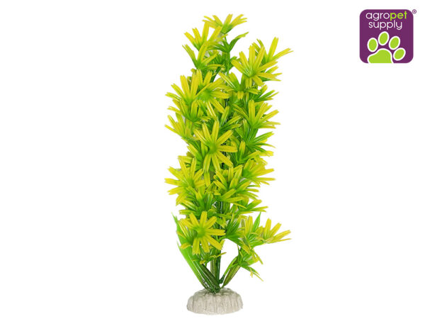 PLANTA PLÁSTICA 12"